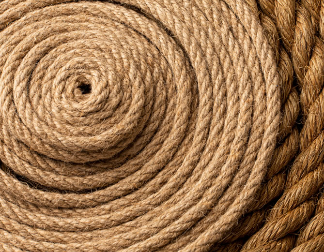 Flow Chart Image Image